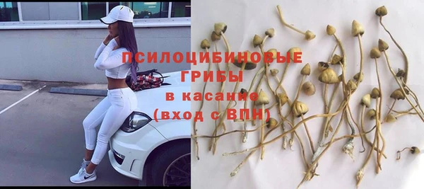 Альфа ПВП Нея
