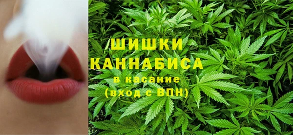 PSILOCYBIN Нефтегорск