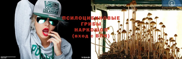 СК Болхов